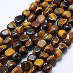Chapelets de perles d'œil de tigre naturel, pierre roulée, pépites, 8~15x5~10mm, Trou: 1mm, 15.3 pouce ~ 15.7 pouces (39~40 cm)