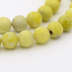 Jade naturel de citron chapelets de perles rondes, 10mm, Trou: 1mm, Environ 40 pcs/chapelet, 15.7 pouce