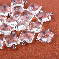 Pendentif carrés en verre d'alliage, sans cadmium et sans plomb, avec le pissenlit séché à l'intérieur, pour faire des colliers de pissenlits, platine, 27x20x10~11mm, Trou: 4.5x2.5mm