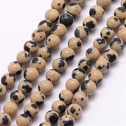 Dalmatien naturel Jasper brins de perles, ronde, 3~3.5mm, Trou: 0.7mm, Environ 115~125 pcs/chapelet, 16 pouce
