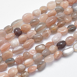 Brins de perles naturelles multi-pierre de lune, pierre roulée, pépites, 8~12x7~9mm, Trou: 0.8mm, 15.1 pouce (38.5 cm)
