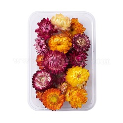 Getrocknete Blumen, zubehör zur kerzenseifenherstellung selber machen, mit Kunststoff-Rechteckbox, Mischfarbe, Mischfarbe, 2.1~4x2.7~4.4 cm