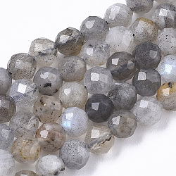 Chapelets de perles en labradorite naturelle , ronde, facette, 4mm, Trou: 0.8mm, Environ 90 pcs/chapelet, 15.75 pouce (40 cm)