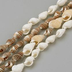 Chapelets de perles en coquillage naturel, couleur mixte, 8~18x5~10x5~10mm, Environ 109 pcs/chapelet, 48 pouce