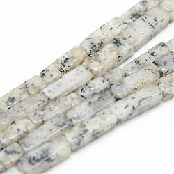 Natürliche Sesam Jaspis / Kiwi Jaspis Perlenstränge, Würfel, 13~14x4~5x4~5 mm, Bohrung: 1 mm, ca. 29~31 Stk. / Strang, 15.3 Zoll