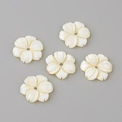 Shell perle naturali di acqua dolce, fiore, bianco crema, 20x3.5mm, Foro: 2 mm
