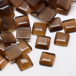 Cat Eye Cabochons, Square, Saddle Brown, 7x7x2mm