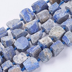 Abalorios de lapislázuli naturales hebras, pepitas, azul medianoche, 18~35x15~26x9~21mm, agujero: 1 mm
