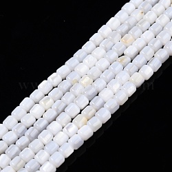 Eau douce naturelle de coquillage perles brins, colonne, 3.5x3.5mm, Trou: 0.8mm, Environ 110~113 pcs/chapelet, 14.69 pouce ~ 15.08 pouces (37.3~38.3 cm)