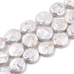Natural Baroque Pearl Keshi Pearl Beads Strands, Large Coin Pearl Beads, Cultured Freshwater Pearl, Flat Round, Seashell Color, 18~19.5x5~10mm, Hole: 0.8mm, about 17pcs/strand, 14.84 inch~15.55 inch(37.7~39.5cm)