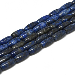 Abalorios de lapislázuli naturales hebras, arroz, 12x5mm, agujero: 0.8 mm, aproximamente 34 pcs / cadena, 15.55'' (39.5 cm)