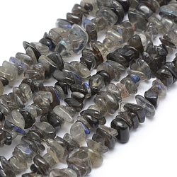 Chapelets de perles en labradorite naturelle , Grade a, puce, 5~8mm, Trou: 0.8mm, environ 16 pouce (40.6 cm)
