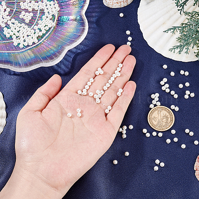 2 нити нити жемчужных бусин из ракушек BSHE-HY0001-02-1