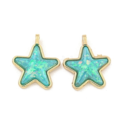 Подвески из полупрозрачной смолы KK-M291-24-1