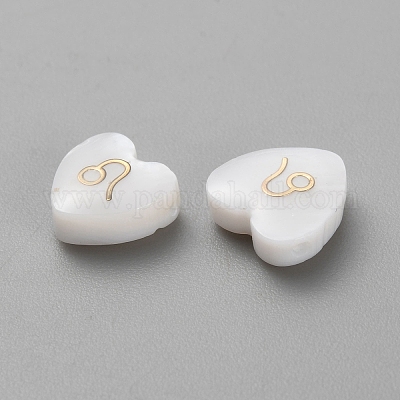 5шт натуральные белые бусины из ракушек BSHE-TAC0004-02G-1