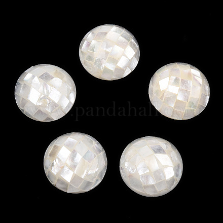 Perles de coquillage blanc naturel SHEL-F007-16A-1