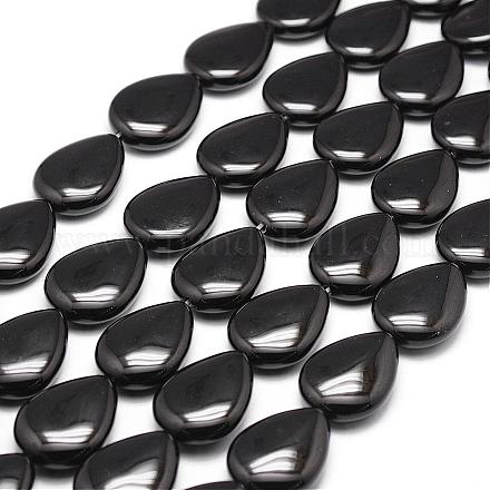 Natural Black Onyx Beads Strands G-P161-13-20x15mm-1