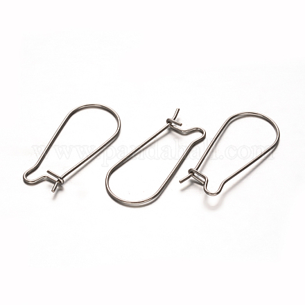 304 Stainless Steel Hoop Earrings STAS-D111-49-1