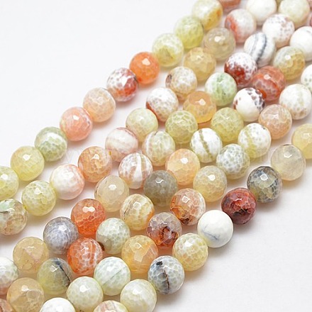 Natural Fire Agate Beads Strands G-L084-14mm-39-1