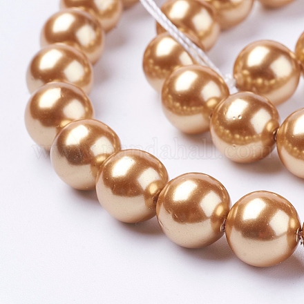 Chapelets de perles de coquille BSHE-L035-10mm-I02-1