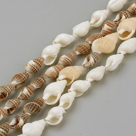 Chapelets de perles en coquillage naturel SSHEL-R043-05-1