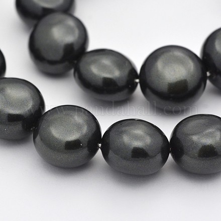 Flat Round Shell Pearl Bead Strands BSHE-M008-01A-1
