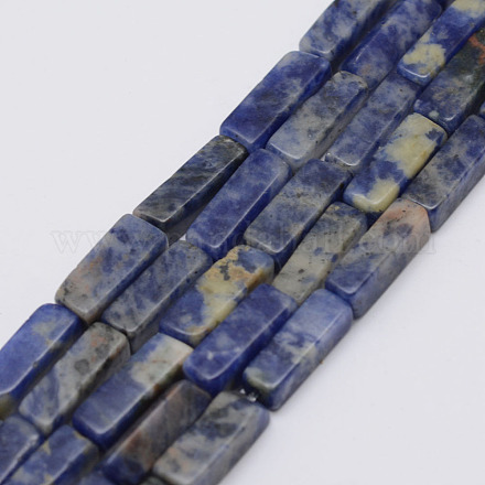 Natural Sodalite Stone Beads Strands G-E342-01-1