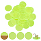 30Pcs Acrylic Sheet, for Base, Green Yellow, 49.5~50x2.5mm