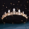 Alloy Rhinestone Crown Hair Bands for Woman Girls, Wedding Party Decoration, Rosaline, 140mm