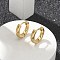 Frosted 304 Stainless Steel Huggie Hoop Earrings for Women, with 316 Stainless Steel Pins, Ion Plating(IP), Ring, Golden, 14x3mm