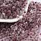 Glass Seed Beads, Inside Colours, Bicone, Purple, 4.5x3.5mm, Hole: 1.4mm, about 125pcs/10g