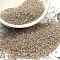 TOHO Demi Round Seed Beads, Japanese Seed Beads, Inside Colours, (989) Gilt Lined Crystal, 11/0, 2.2x0.9mm, about 78000pcs/pound(450g)