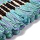 10 Skeins 6-Ply Polyester Embroidery Floss OCOR-K006-A30-2