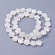Chapelets de perles de coquillage SSHEL-E571-35-2