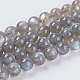 Chapelets de perles en labradorite naturelle  G-G448-8mm-04B-1