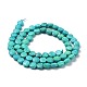Natural Howlite Beads Strands G-I308-03-2