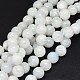 Brins de perles de pierre de lune arc-en-ciel naturel G-F602-03-12mm-1