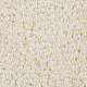 Perline di semi di vetro rotonde di grado 11/0 SEED-N001-B-0481-2