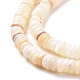 Chapelets de perles de coquillage SSHEL-E571-49I-5