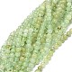 Chapelets de perles en préhnite naturelle G-O201A-06E-1