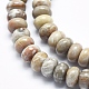 Natural Fossil Coral Beads Strands G-K256-10B-3