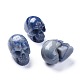 Halloween Natural Blue Aventurine Home Decorations DJEW-K015-05-1