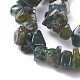 Natural Moss Agate Beads Strands G-G782-26-3
