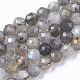 Chapelets de perles en labradorite naturelle  G-R462-014-1