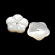 Shell perle bianche naturali BSHE-G034-29-2