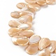 Natural Trochid Shell/Trochus Shell Beads SSHEL-T012-17-2
