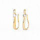 Brass Micro Pave Clear Cubic Zirconia Earring Hooks ZIRC-S068-005-NF-1