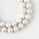 Coquille naturelle brins de perles rondes SHEL-R012-8mm-01-1