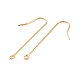 316 Surgical Stainless Steel Earring Hooks STAS-E027-02A-G-2