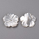 Perlas de concha de nácar de concha blanca natural SSHEL-R144-37-2